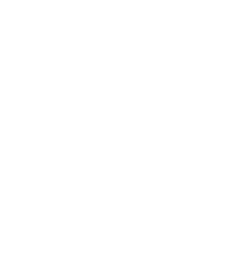 white KI award logo
